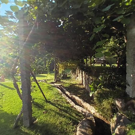 Quinta Da Chanca Паредиш-ди-Кора Экстерьер фото