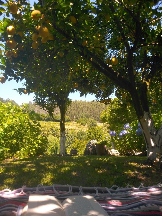 Quinta Da Chanca Паредиш-ди-Кора Экстерьер фото